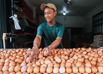 Harga Beras, Bawang Merah, Telur Melandai
