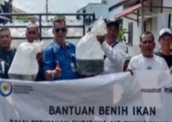 DKPP Batola Bantu Benih Ikan Nila