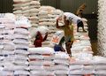 Kementan Pastikan Stok Pangan Aman