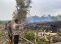 Lahan Bekas Kebun Karet di Binturu Terbakar