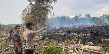 Lahan Bekas Kebun Karet di Binturu Terbakar