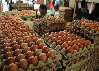 Harga Cabai, Daging dan Telur Berangsur Turun