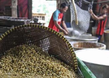 Perajin Tahu-Tempe Makin Tergencet