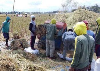 Menjaga Lumbung Pangan Tetap Produktif di Tengah Ancaman El Nino