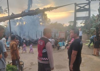 Si Jago Merah Lahap Gudang di Burum