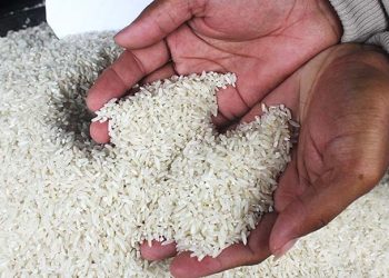 Produksi Beras Terancam Turun, Berimbas Harga Berpotensi Naik