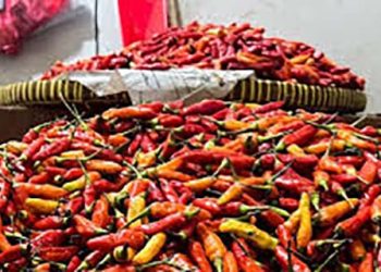 Harga Cabai Rawit Merah Tembus Rp85.200