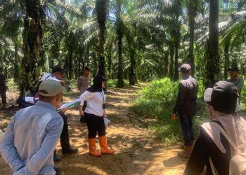 PN Pelaihari Gelar Sidang Pemeriksaan Setempat