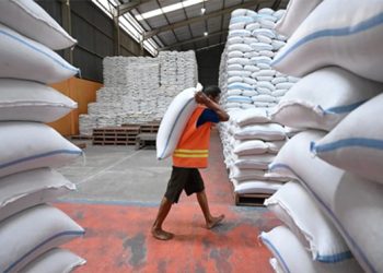 Stok Beras Bulog 5 Juta Ton, Rekor Tertinggi