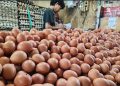 Harga Telur Ayam Tembus Rp35.150 per Kg
