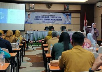DPPA Perkuat Perlindungan dan Pemberdayaan Perempuan dan Anak