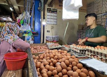 PIHPS Mencatat Harga Telur Ayam Ras Masih Mahal