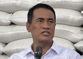 Mentan Jawab Kritik Netizen Stok Beras Melimpah Tapi Harga Masih Mahal