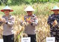 Polres Tala Dukung Ketahanan Pangan Nasional