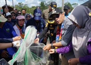 Panen Udang Vaname Perdana Jadi Tonggak Baru Perikanan Budidaya Kotabaru