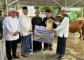 Pemkab Kotabaru Salurkan Bantuan Sapi Kurban Presiden RI