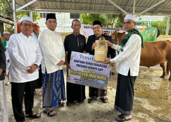 Pemkab Kotabaru Salurkan Bantuan Sapi Kurban Presiden RI