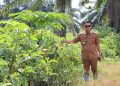 TPA Basirih Mulai Menghijau