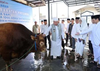 Gubernur Kalsel Didampingi Wagub Serahkan Sapi Kurban