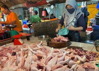 Harga Ayam Tembus Rp53.000 per Kilogram