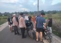 Petugas Tindak Bali di Desa Mahe Seberang