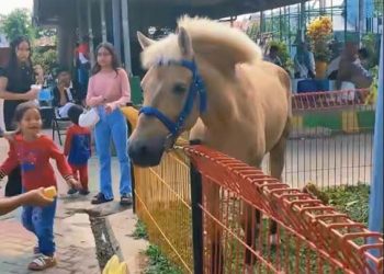 Water Boom dan Sepeda Air Segera Hadir di Taman Satwa