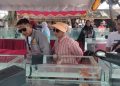 Kontes Ikan Hias, UMKM dan Komunitas Ikut Tumbuh Bersama