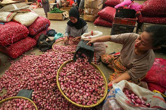 Harga Bawang dan Cabai Mahal HARGA BAWANG - Dalam beberapa pekan terakhir, harga bawang merah kembali melonjak. Salah satu faktornya akibat keterlambatan distribusi.(Foto:mb/ant)