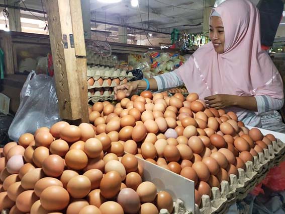 Harga Cabai dan Telur Ayam Turun HARGA TURUN - Harga pangan nasional di pasar tradisional pada Senin masih melanjutkan tren penurunan pada sejumlah komoditas, seperti telur ayam ras.(foto:mb/ist)