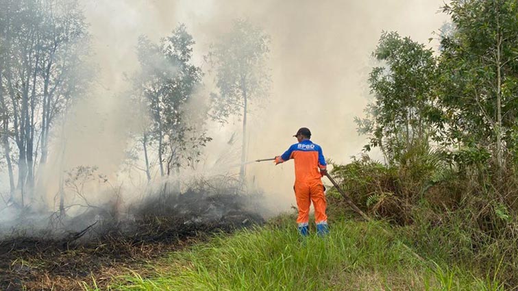 TRC BPBD Kalsel Berhasil Kendalikan Dua Titik Karhutla Salah satu petugas dari BPBD Proinsi Kalimantan Selatan saat melakukan pemadaman kebakaran hutan dan lahan (Karhutla) di Banjarbaru. (foto:mb/ist)