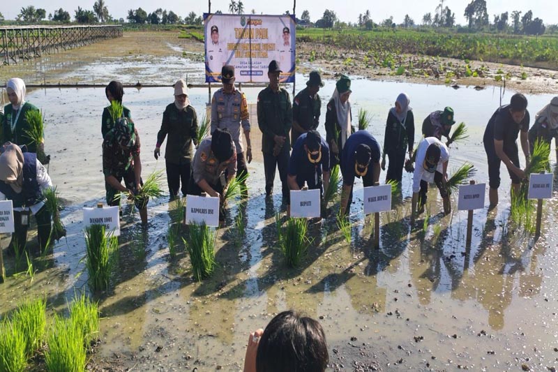 Lahan tanam padi perdana Desa Galagah dinilai sangat potensial TANAM PADI-Pemerintah Kabupaten Hulu Sungai Utara (HSU), Kalimantan Selatan melaksanakan kegiatan tanam padi perdana di Desa Galagah, Kecamatan Sungai Tabukan. (foto:mb/ant)