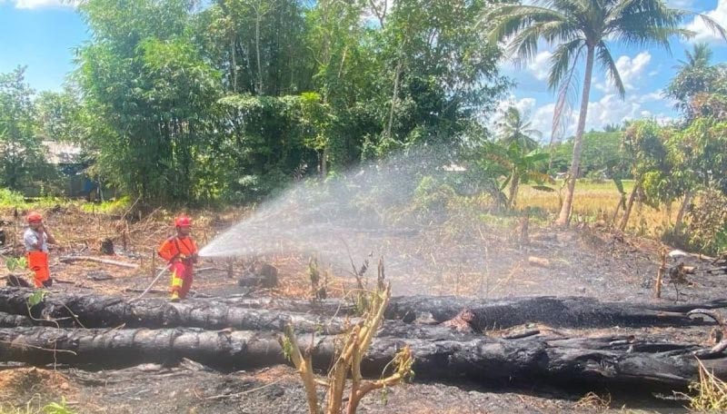 Karhutla di Tapin dan HSS padam, BNPB minta patroli diperketat JINAKAN API-Tim petugas BPBD Kabupaten Hulu Sungai Selatan menjinakan api yang melahap sebuah lahan Desa Ambutun. (foto:mb/ant)