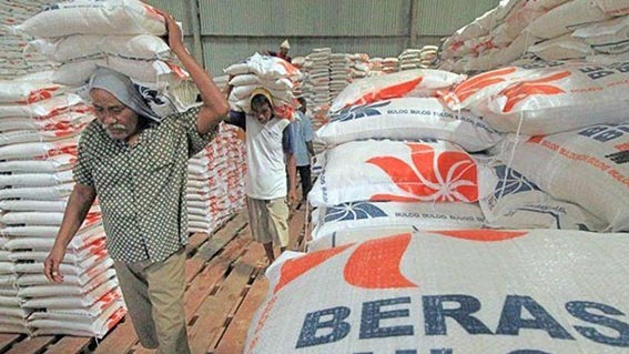 Stok Beras Hadapi Kemarau (foto;mb/ant)