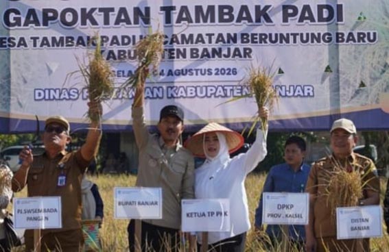 Bupati Banjar Apresiasi Semangat Petani PANEN PADI - Bupati Banjar H Saidi Mansyur didampingi Ketua TP PKK Hj Nurgita Tiyas dan undangan memanen padi di Gapoktan Tambak Padi, Desa Tambak Padi, Kecamatan Beruntung Baru.(foto:mb/ist)
