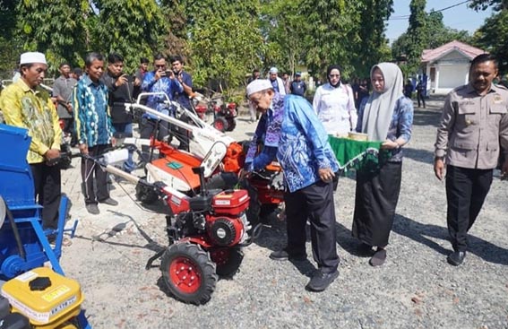 Pemkab Banjar Bantu Alsintan TAPUNG TAWAR - Wakil Bupati Banjar Habib Idrus Al Habsyi menapungtawari alsintan yang diserahkan kepada kelompok tani di 27 desa yang tersebar di 11 kecamatan.(foto:mb/ist)