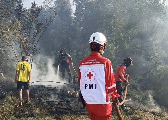 PMI Dukung Penanganan Kabut Asap PADAMKAN - Petugas PMI Kalsel saat ikut memadamkan api di salah satu lahan yang terbakar, beberapa waktu lalu.(foto:mb/ist)
