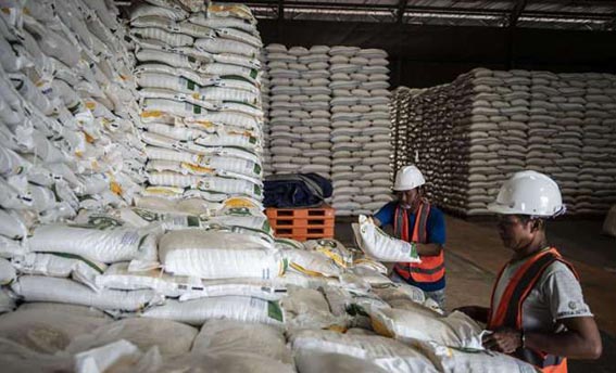 Stok Beras Nasional Aman hingga Satu Tahun STOK BERAS AMAN - Stok Cadangan Beras Pemerintah (CBP) dalam kondisi aman untuk memenuhi kebutuhan masyarakat, termasuk menghadapi bencana alam dan keadaan darurat. Stok tercatat mencapai 5,17 juta ton. Ketersediaan beras tersebut dapat memenuhi kebutuhan hingga satu tahun ke depan apabila diperlukan.(foto:mb/ant)