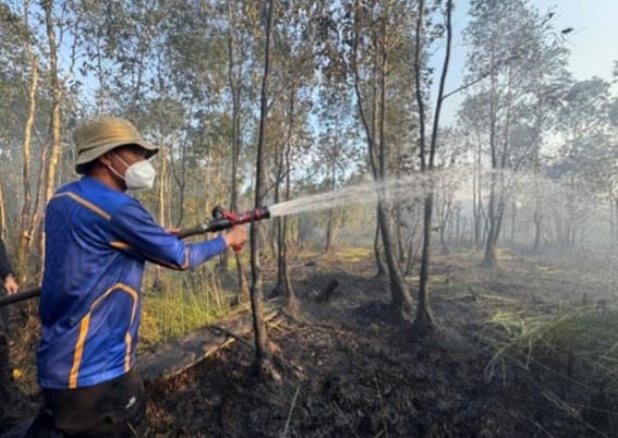 Bupati Banjar Pantau Sejumlah Titik Api PADAMKAN API - Bupati Banjar H Saidi Mansyur turut memadamkan titip api di wilayah Kecamatan Gambut Kabupaten Banjar.(foto:mb/ist)PADAMKAN API - Bupati Banjar H Saidi Mansyur turut memadamkan titip api di wilayah Kecamatan Gambut Kabupaten Banjar.(foto:mb/ist)