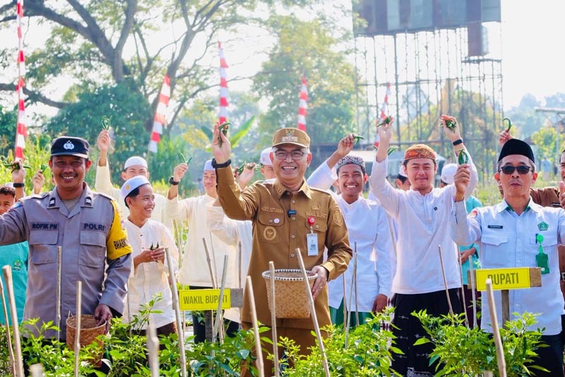 Wabup HSU Dorong Pesantren Menjadi Lokus Pertanian PANEN CABE-Wakil Bupati Kabupaten Hulu Sungai Utara (HSU), Kalimantan Selatan Hero Setiawan saat hadiri panen raya cabai merah di Pondok Pesantren Darussalam, Desa Muara Tapus, Kecamatan Amuntai Tengah. (foto:mb/yusuf)