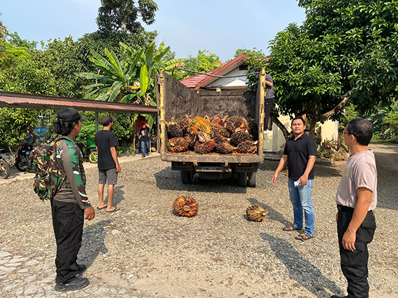 Curi Sawit, RW Ditangkap PETUGAS saat mengamankan truk yang digunakan RW ketika mencuri sawit.(foto:mb/ist)