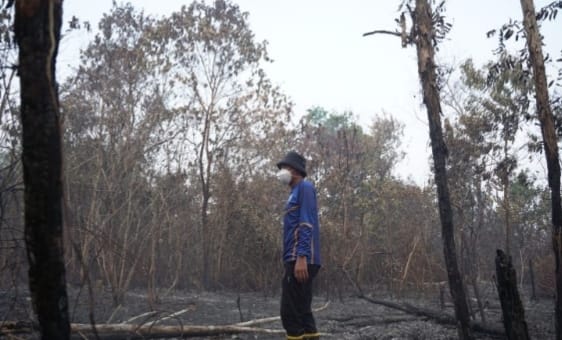 Bupati Banjar Pantau Penanganan Karhutla BUPATI Banjar H Saidi Mansyur turun langsung ke lokasi untuk memastikan api benar-benar berhasil dipadamkan. (foto:mb/ist)