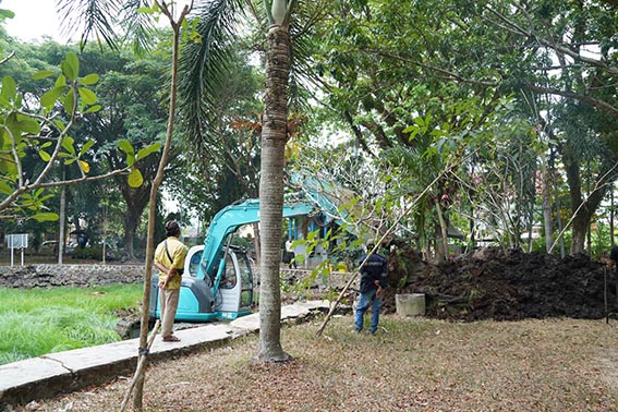 Kolam Taman Kamboja Dikeruk dan Difungsikan Lagi KOLAM di Taman Kamboja yang penuh dengan rumput liar, kini dikeruk agar berfungsi seperti semula.(foto:mb/ist)