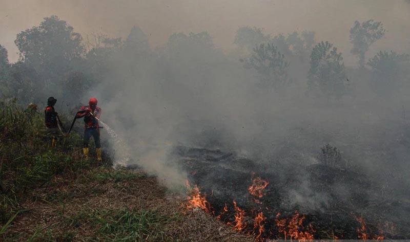 Kebakaran Lahan Di Kelurahan Kereng Bengkirai, Palangka Raya