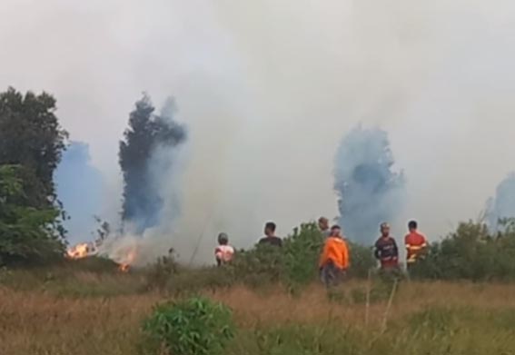 Karhutla Melanda Desa Penggalaman PETUGAS pemadam kebakaran berupaya memadamkan karhutla yang terjadi di Desa Penggalaman Kecamatan Sungai Tabuk Kabupaten Banjar.(foto:mb/ist)