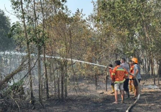 Senin, Karhutla Tersebar di Lima Kecamatan BEBERAPA petugas pemadam kebakaran menyemprotkan air ke sumber api yang membakar lahan di Karang Intan Kabupaten Banjar.(foto:mb/ist)