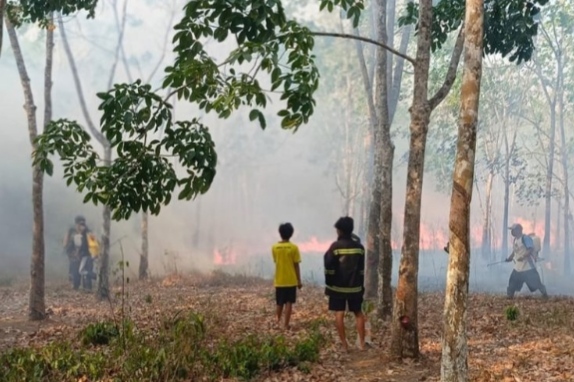Karhutla Melanda Kawasan Perkebunan Karet DENGAN peralatan seadanya, relawan RAKAT berupaya memadamkan kobaran api yang terjadi di kawasan perkebunan karet di Desa Karang Intan Kabupaten Banjar.(foto:mb/ist)