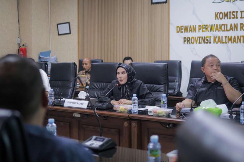 Komisi III Dorong Anggaran ESDM 2027 Rapat kerja pembahasan program dan kegiatan Dinas ESDM bersama Komisi III DPRD Kalsel.rds
