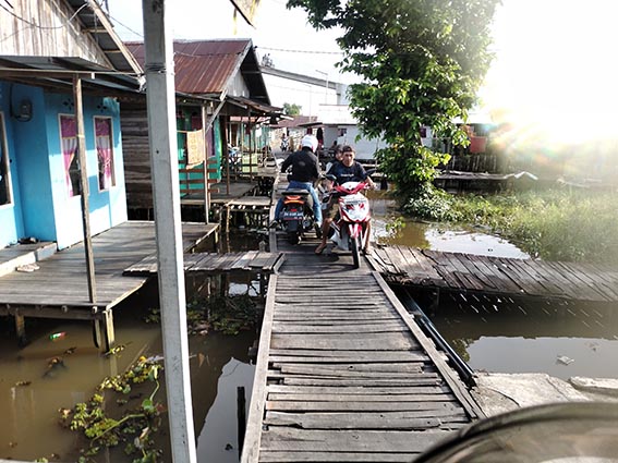 Warga Basirih Segera Bebas dari Jalan Becek JALAN titian dan jalan setapak di pinggiran Kota Banjarmasin masih mendominasi, sehingga ketika musim penhujan dan air pasang sangat berbahaya bagi yang melintasinya.(foto:mb/ist)