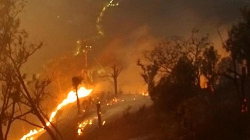 Petugas Karhutla Bromo Meninggal Jadi 5 Orang KEBAKARAN hutan dan lahan di Taman Nasional Bromo Tengger Semeru (TNBTS) yang telah memakan lima korban jiwa.