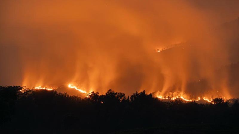 570 Ha Lahan di Sumatera dan Kalimantan Masih Terbakar ILUSTRASI kebakaran yang melanda hutan dan lahan di Indonesia selama musim kemarau ini.